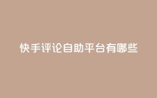 快手评论自助平台有哪些,ks业务专区 - 免费领取10000快手播放量 - 王者自助下单全网最便宜