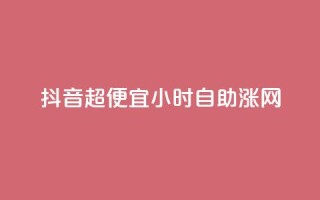 抖音超便宜24小时自助涨网,快手涨粉丝最快的方法步骤 - 九梦业务下单 - 快手流量怎么弄