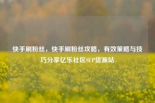 快手刷粉丝，快手刷粉丝攻略，有效策略与技巧分享亿乐社区SUP货源站