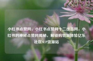 小红书点赞网，小红书点赞网十二出品网，小红书的神秘点赞网揭秘，解锁购物新体验亿乐社区SUP货源站