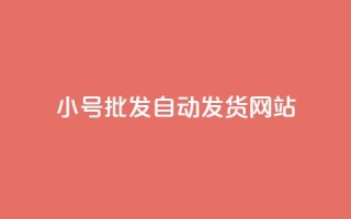 dy小号批发自动发货网站,cf卡盟自助下单24小时 - 砍一刀助力平台app - 机器人刷助力的软件叫什么