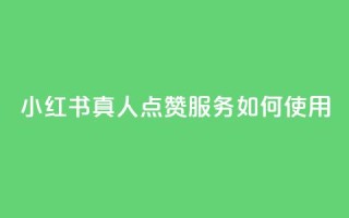 小红书真人点赞服务如何使用