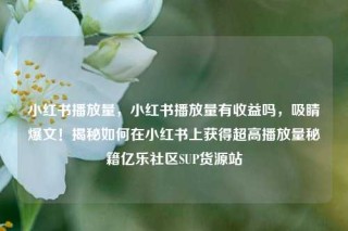 小红书播放量，小红书播放量有收益吗，吸睛爆文！揭秘如何在小红书上获得超高播放量秘籍亿乐社区SUP货源站