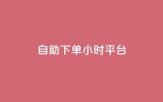 自助下单24小时平台 - 全天候自助下单平台，24小时无缝服务体验~
