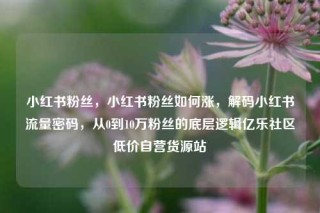 小红书粉丝，小红书粉丝如何涨，解码小红书流量密码，从0到10万粉丝的底层逻辑亿乐社区低价自营货源站