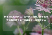快手购买粉丝网站，快手购买粉丝，揭秘黑市交易背后的真相亿乐社区低价自营货源站