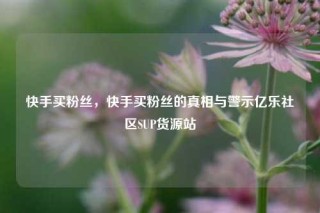 快手买粉丝，快手买粉丝的真相与警示亿乐社区SUP货源站