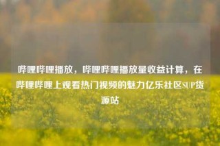 哔哩哔哩播放，哔哩哔哩播放量收益计算，在哔哩哔哩上观看热门视频的魅力亿乐社区SUP货源站