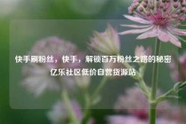 快手刷粉丝，快手，解锁百万粉丝之路的秘密亿乐社区低价自营货源站