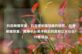 抖音刷播放量，抖音增加播放量的软件，抖音刷播放量，揭秘平台黑手背后的真相亿乐社区SUP货源站