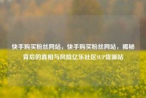 快手购买粉丝网站，快手购买粉丝网站，揭秘背后的真相与风险亿乐社区SUP货源站