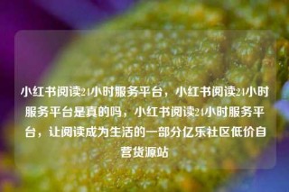 小红书阅读24小时服务平台，小红书阅读24小时服务平台是真的吗，小红书阅读24小时服务平台，让阅读成为生活的一部分亿乐社区低价自营货源站