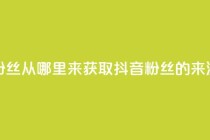 抖音粉丝从哪里来获取(抖音粉丝的来源解析)