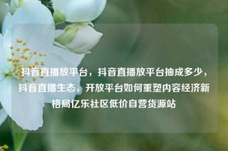 抖音直播放平台，抖音直播放平台抽成多少，抖音直播生态，开放平台如何重塑内容经济新格局亿乐社区低价自营货源站