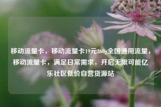 移动流量卡，移动流量卡19元360g全国通用流量，移动流量卡，满足日常需求，开启无限可能亿乐社区低价自营货源站