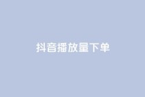 抖音播放量下单,抖音快手24小时自助服务 - 低价卡密货源 - ks点赞网