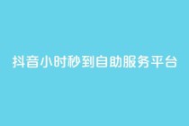 抖音24小时秒到自助服务平台,快手流量推广网站 - 快手业务平台24小时在线 - 快手一元100点赞有什么用