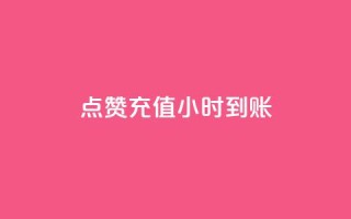 dy点赞充值24小时到账,dy业务自助下单在线低价 - ks刷攒链子 - 涨粉24小时下单