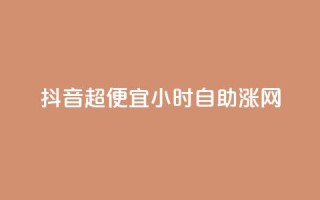 抖音超便宜24小时自助涨网,快手涨粉丝最快的方法步骤 - 九梦业务下单 - 快手流量怎么弄