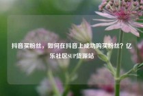 抖音买粉丝，如何在抖音上成功购买粉丝？亿乐社区SUP货源站