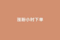 涨粉24小时下单,抖音粉丝业务套餐 - qq主页名片点赞链接 - ks粉丝业务怎么接