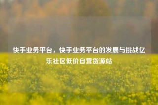 快手业务平台，快手业务平台的发展与挑战亿乐社区低价自营货源站