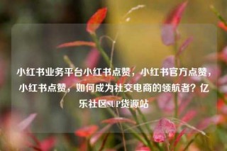 小红书业务平台小红书点赞，小红书官方点赞，小红书点赞，如何成为社交电商的领航者？亿乐社区SUP货源站
