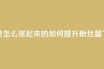 粉丝是怎么涨起来的 - 如何提升粉丝量~