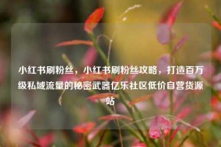小红书刷粉丝，小红书刷粉丝攻略，打造百万级私域流量的秘密武器亿乐社区低价自营货源站