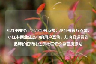 小红书业务平台小红书点赞，小红书官方点赞，小红书商业生态中的用户互动，从内容运营到品牌价值转化亿乐社区低价自营货源站
