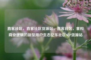 直客社区，直客社区货源站，直客社区，重构商业逻辑的新型用户生态亿乐社区SUP货源站