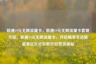 联通19元无限流量卡，联通19元无限流量卡套餐介绍，联通19元无限流量卡，开启畅享生活新篇章亿乐社区低价自营货源站