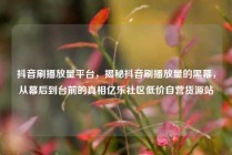 抖音刷播放量平台，揭秘抖音刷播放量的黑幕，从幕后到台前的真相亿乐社区低价自营货源站