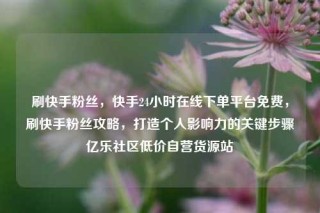 刷快手粉丝，快手24小时在线下单平台免费，刷快手粉丝攻略，打造个人影响力的关键步骤亿乐社区低价自营货源站