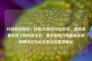 抖音粉丝购买，抖音2万粉丝什么价位，虚拟流量狂欢下的抖音生态，真实影响力与数据泡沫的博弈亿乐社区低价自营货源站