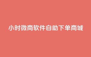 24小时微商软件自助下单商城,自助下单全网最低价ks - b站播放量业务自助平台 - dy自助商城