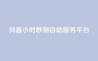 抖音24小时秒到自助服务平台,ks便宜的下单平台 - 抖音评论挣钱是什么套路 - Dy号商购买