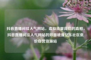 抖音直播间挂人气网站，虚拟流量背后的真相，抖音直播间挂人气网站的双面镜像亿乐社区低价自营货源站