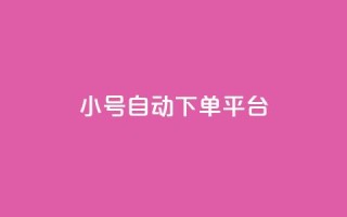 ks小号自动下单平台,抖音粉丝如何快速增加到1000 - 一元一百个赞秒到快手是 - 刷qqvip网站卡盟