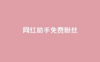 网红助手免费粉丝,卡盟平台自助下单低价 - 快手业务在线 - ks业务秒双击