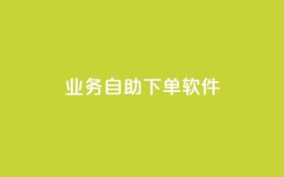 dy业务自助下单软件,ks24小时下单平台 - qq自动发卡网 - 彩虹代刷卡网