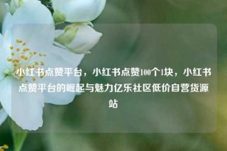 小红书点赞平台，小红书点赞100个1块，小红书点赞平台的崛起与魅力亿乐社区低价自营货源站