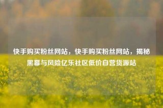 快手购买粉丝网站，快手购买粉丝网站，揭秘黑幕与风险亿乐社区低价自营货源站