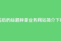 重写后的标题：梓豪QQ业务网站简介