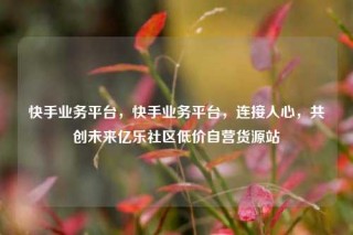 快手业务平台，快手业务平台，连接人心，共创未来亿乐社区低价自营货源站