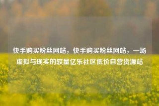 快手购买粉丝网站，快手购买粉丝网站，一场虚拟与现实的较量亿乐社区低价自营货源站