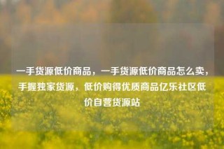 一手货源低价商品，一手货源低价商品怎么卖，手握独家货源，低价购得优质商品亿乐社区低价自营货源站