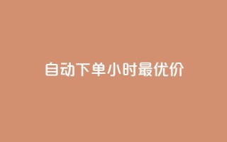 自动下单24小时最优价