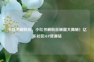 小红书刷粉丝，小红书刷粉丝秘籍大揭秘！亿乐社区SUP货源站