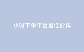 24小时下单平台最低价抖,dy播放量业务 - 抖音业务点赞真人 - 24小时QQ空间访客